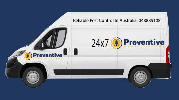 Preventive Pest Control