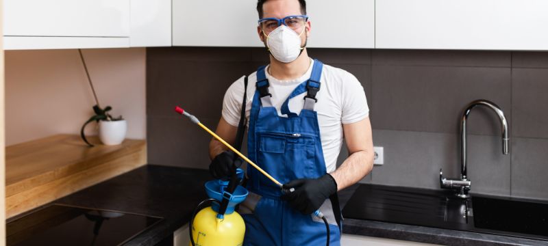 Process of pest control in brisbane